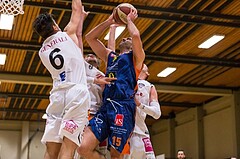 Basketball, ABL 2016/17, CUP 2.Runde, Mattersburg Rocks, Fürstenfeld Panthers, Marino Sarlija (15), Krisztian BAKK (6)