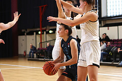 Basketball Damen Superliga 2022/23, Grunddurchgang 7.Runde Basket Flames vs. D.C. Timberwolves