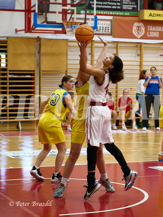 Basketball Superliga 2024/25, SLWU16 Traiskirchen Lionesses vs. UBBC Herzogenburg


