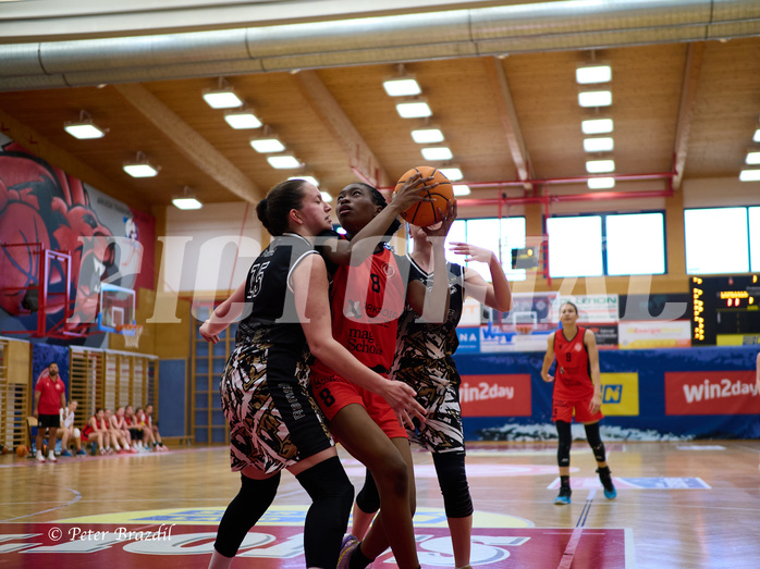 Basketball Superliga 2024/25, SLMU16 Traiskirchen Lionesses vs. VKL Vikings Kammer


