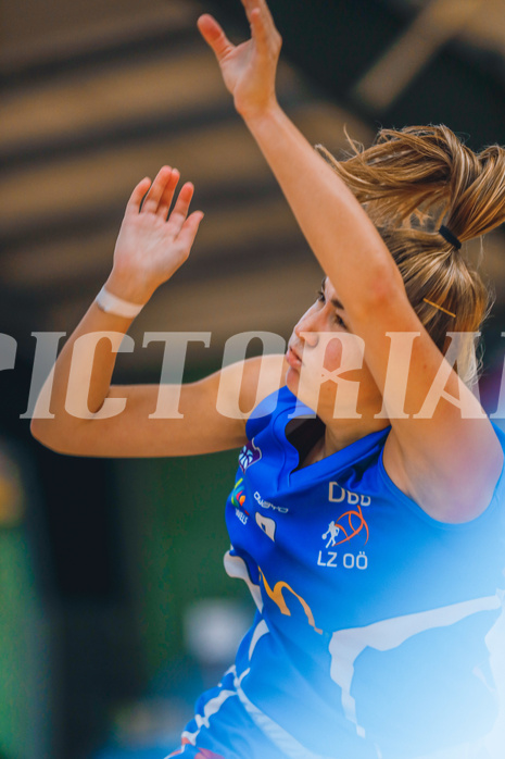 Basketball Basketball Superliga 2020/21, Grunddurchgang 2.Runde D.C. Timberwolves vs. DBB Linz
