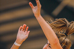 Basketball Basketball Superliga 2020/21, Grunddurchgang 2.Runde D.C. Timberwolves vs. DBB Linz
