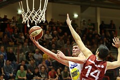 Basketball ABL 2015/16 Grunddurchgang 14.Runde Traiskirchen Lions vs. Gmunden Swans


