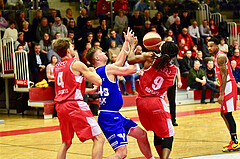 Basketball Superliga 2019/20, Grunddurchgang 20. Runde Flyers Wels vs. Oberwart Gunners