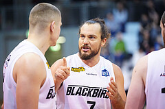 Basketball 2. Liga 2024/25, Grunddurchgang 20.Runde , Güssing vs. Mistelbach