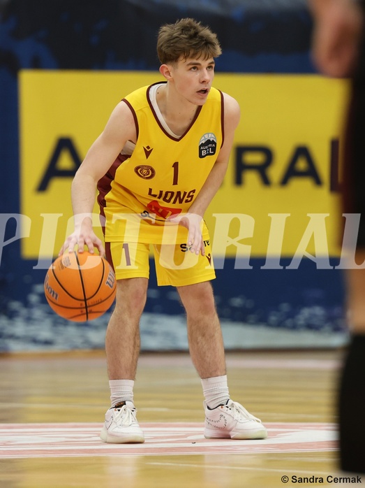 Basketball Zweite Liga 2024/25, Grunddurchgang 22.Runde Traiskirchen Lions NextGen vs. Mistelmach Mustangs


