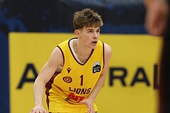Basketball Zweite Liga 2024/25, Grunddurchgang 22.Runde Traiskirchen Lions NextGen vs. Mistelmach Mustangs


