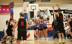 Basketball 2.Bundesliga 2016/17, Grundurchgang 12.Runde D.C. Timberwolves vs. Mistelbach Mustangs


