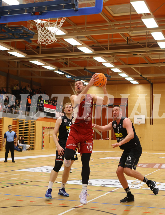 Basketball Zweite Liga 2024/25, Grunddurchgang 7.Runde Mistelbach Mustangs vs. Mattersburg Rocks


