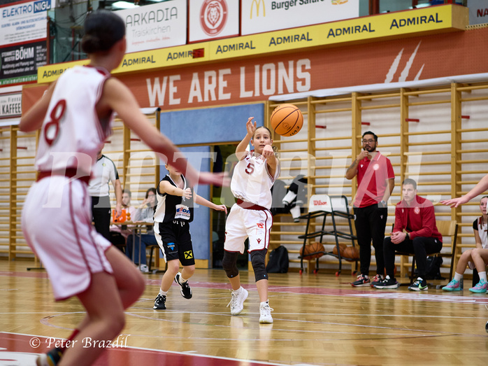 Basketball Superliga 2024/25, SLWU14 Traiskirchen Lionesses vs. DBK Steyrer Witches


