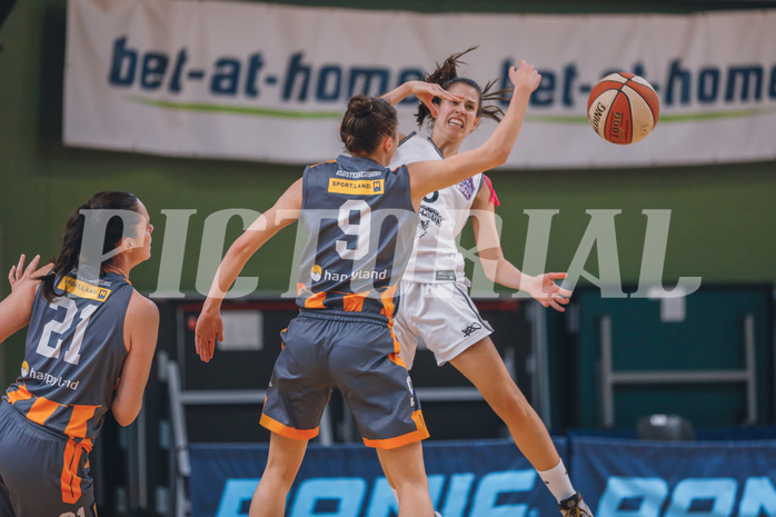 Basketball Basketball Superliga 2020/21, Grunddurchgang 10.Runde Vienna D.C. Timberwolves vs. BK Duchess
