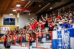 Basketball, Win2Day Superliga 2024/25, Playoffs, Halbfinale Spiel 2, Traiskirchen Lions, Oberwart Gunners, Fans Traiskirchen