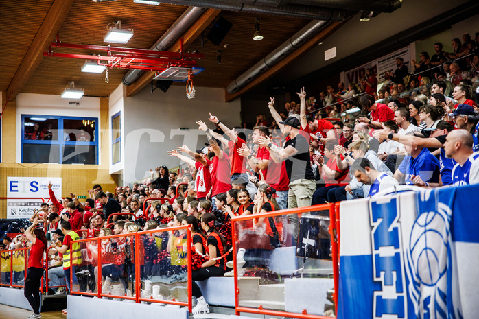 Basketball, Win2Day Superliga 2024/25, Playoffs, Halbfinale Spiel 2, Traiskirchen Lions, Oberwart Gunners, Fans Traiskirchen