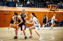 Basketball, Win2Day Basketball Damen Superliga 2024/25, Grunddurchgang 14.Runde, Vienna Timberwolves, Basket Flames, Stella Popp (4), Lara Binder (9)