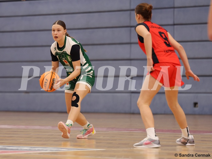 Basketball Superliga 2024/25, SLWU14 Traiskirchen Lionesses vs. UBI Graz


