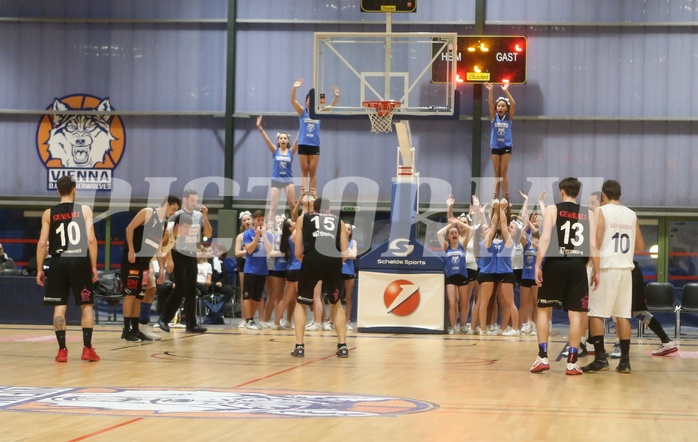 Basketball 2.Bundesliga 2016/17, Grundurchgang 16.Runde D.C. Timberwolves vs. Mattersburg Rocks



