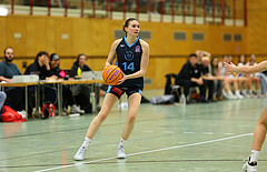Basketball Damen Superliga 2024/25, Grunddurchgang 6.Runde Vienna United vs. Vienna Timberwolves



