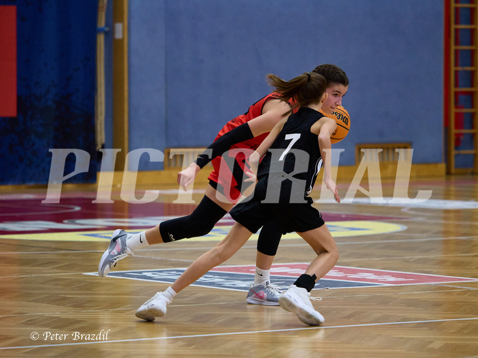 Basketball Superliga 2024/25, SLWU16 Traiskirchen Lionesses vs. BBC Nord Dragons


