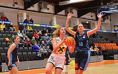 Basketball Austria Cup 2023/24, Viertelfinale BK Duchess Klosterneuburg vs. Vienna Timberwolves


