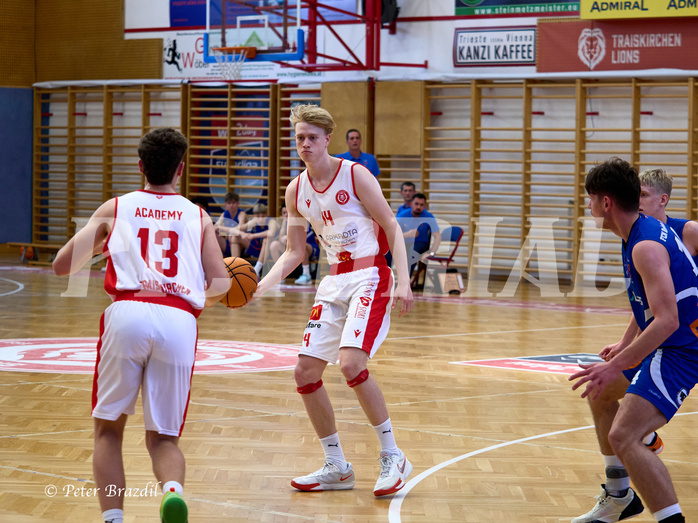 Basketball Superliga 2024/25, SLMU16 Traiskirchen Lions vs. FCN Baskets Wels


