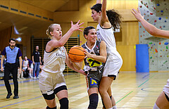 Basketball Damen Superliga 2023/24, Grunddurchgang .Runde Basket Flames vs. Duchess Klosterneuburg


