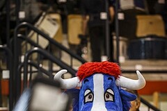 Basketball, ABL 2018/19, Grunddurchgang 16.Runde, Kapfenberg Bulls, Oberwart Gunners, Bully