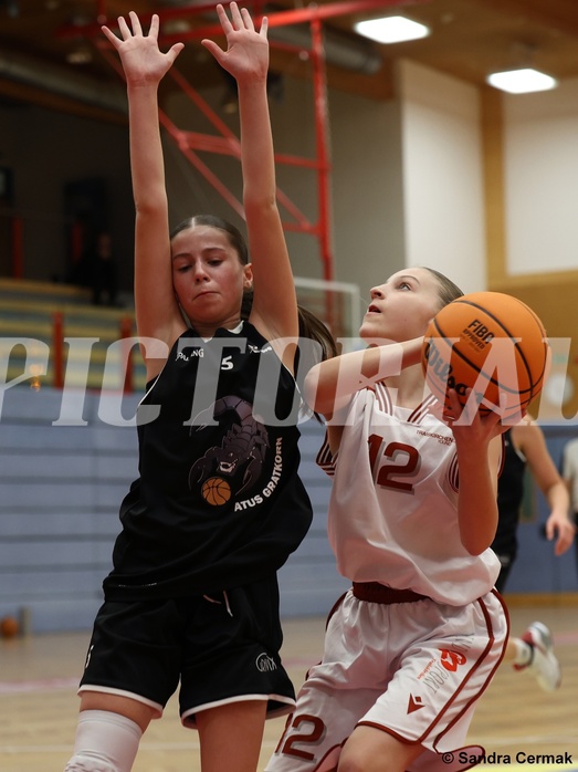Basketball Superliga 2024/25, SLWU14 Traiskirchen Lionesses vs. ATUS Gratkorn Scorpions


