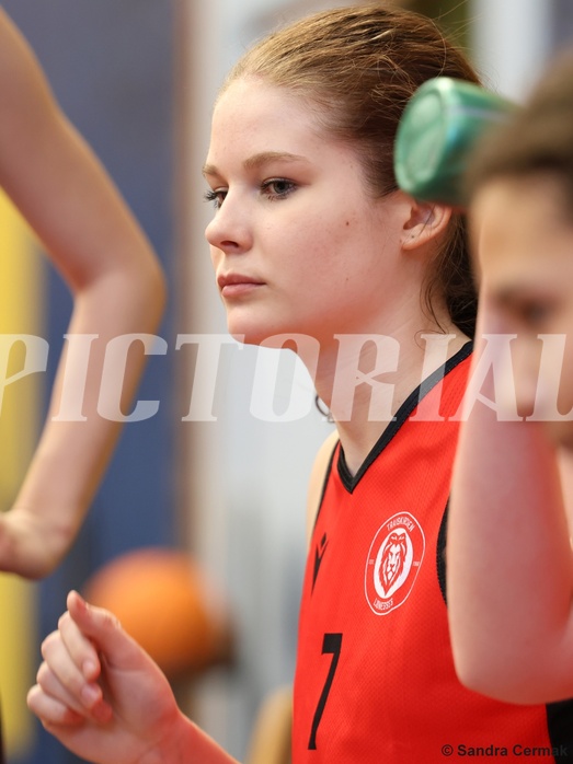 Basketball Superliga 2024/25, SLWU16 Traiskirchen Lionesses vs. DBK Steyrer Witch Cadets


