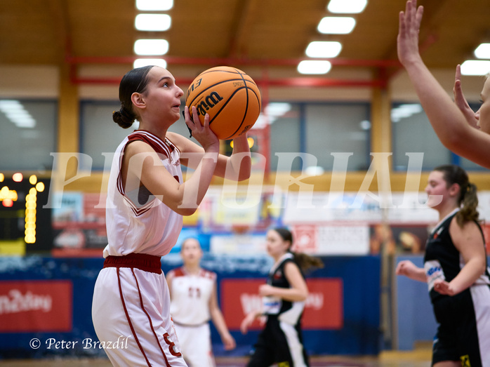 Basketball Superliga 2024/25, SLWU14 Traiskirchen Lionesses vs. DBK Steyrer Witches


