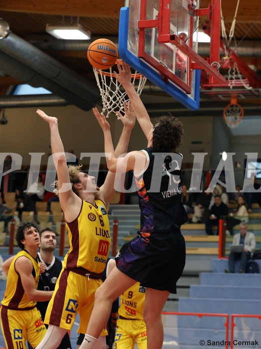 Basketball Zweite Liga 2024/25, Grunddurchgang 16.Runde Traiskirchen Lions NextGen vs. Vienna United


