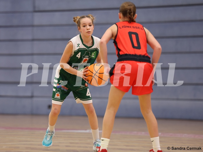 Basketball Superliga 2024/25, SLWU14 Traiskirchen Lionesses vs. UBI Graz


