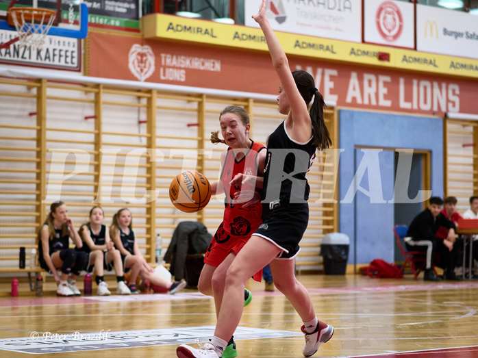 Basketball Superliga 2024/25, SLWU14 Traiskirchen Lionesses vs. Gratkorn Scorpions


