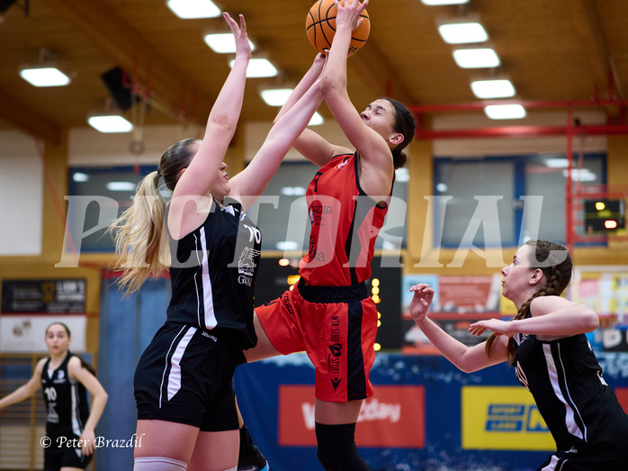 Basketball Superliga 2024/25, SLWU16 Traiskirchen Lionesses vs. BBC Nord Dragons


