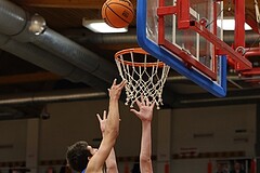 Basketball Superliga 2024/25, SLMU16 Traiskirchen Lions vs. St. Pölten


