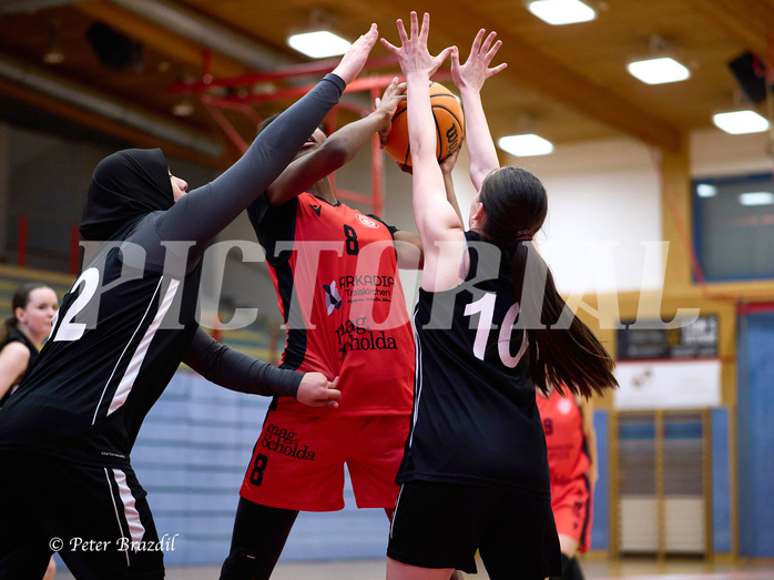Basketball Superliga 2024/25, SLWU16 Traiskirchen Lionesses vs. BBC Nord Dragons


