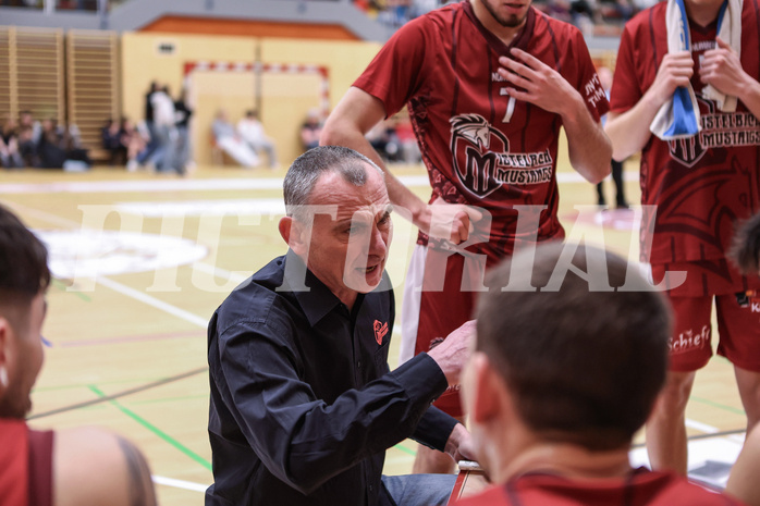 Basketball Zweite Liga 2024/25, Grunddurchgang 21.Runde Mistelbach Mustangs vs. Raiders Tirol