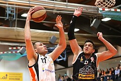 Basketball ABL 2015/16 Grunddurchgang 34.Runde BK Dukes Klosterneuburg vs. Traiskirchen Lions