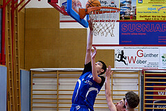 Basketball Superliga 2024/25, SLMU16 Traiskirchen Lions vs. FCN Baskets Wels


