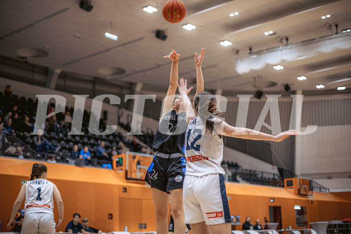 Basketball, Win2Day Basketball Damen Superliga 2022/23, Grunddurchgang 9.Runde, Vienna Timberwolves, Vienna United, Christina Hofstetter (24)
