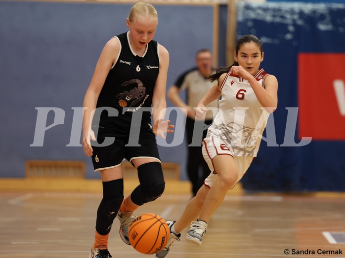 Basketball Superliga 2024/25, SLWU14 Traiskirchen Lionesses vs. ATUS Gratkorn Scorpions


