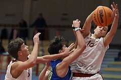 Basketball Superliga 2024/25, SLMU16 Traiskirchen Lions vs. St. Pölten


