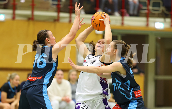 Basketball Damen Superliga 2024/25, Grunddurchgang 6.Runde Vienna United vs. Vienna Timberwolves



