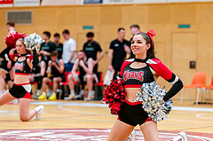 Basketball Zweite Liga 2023/24, Playoff, Finale Spiel 3 Mistelbach Mustangs vs. Union Deutsch Wagram