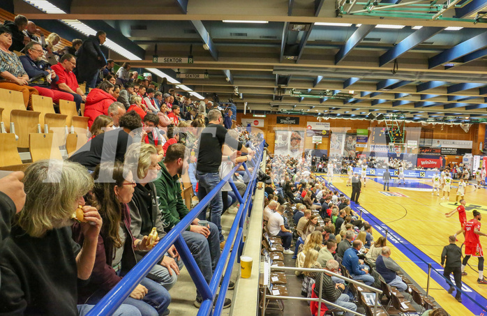 Basketball Superliga 2024/25, Grunddurchgang 20.Runde Gmunden Swans vs. Flyers Wels