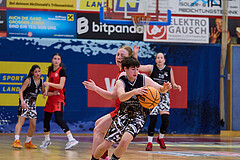 Basketball Superliga 2024/25, SLMU16 Traiskirchen Lionesses vs. VKL Vikings Kammer


