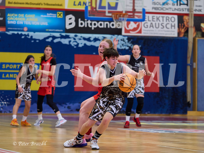 Basketball Superliga 2024/25, SLMU16 Traiskirchen Lionesses vs. VKL Vikings Kammer


