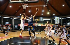 Basketball ABL 2017/18, Grunddurchgang 31.Runde BC Vienna vs. Kapfenberg Bulls