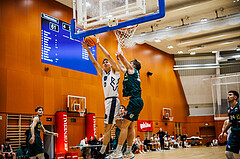 Basketball, Basketball Zweite Liga 2024/25, Grunddurchgang 12.Runde, Vienna Timberwolves, Dornbirn Lions, 