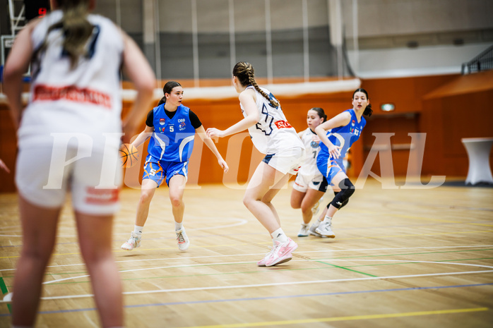 Basketball, Win2Day Basketball Damen Superliga 2024/25, Supercup 5. Runde, Vienna Timberwolves, DBB Wels, Emma-Fee Stockinger (5)