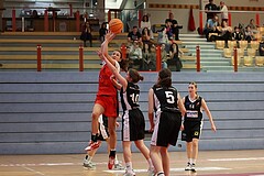 Basketball Superliga 2024/25, SLWU16 Traiskirchen Lionesses vs. DBK Steyrer Witch Cadets



